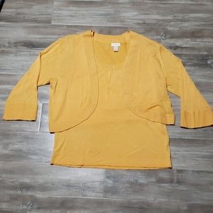 Chico's 2 PC sweater and sleeveless sweater.